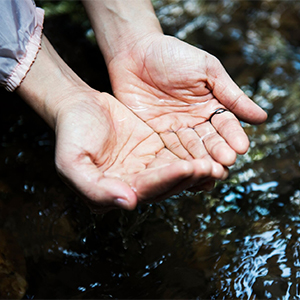 Скільки води на землі?