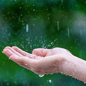 Чим відрізняється дощова вода від мінеральної?