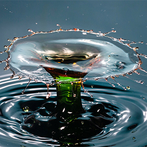 Скільки відсотків води в організмі людини?