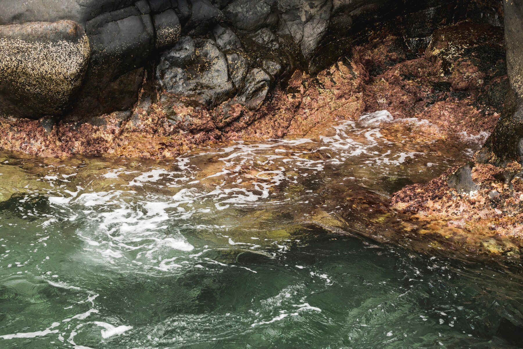 close-up-wavy-water-rocky-shore_23-2148229763.jpg