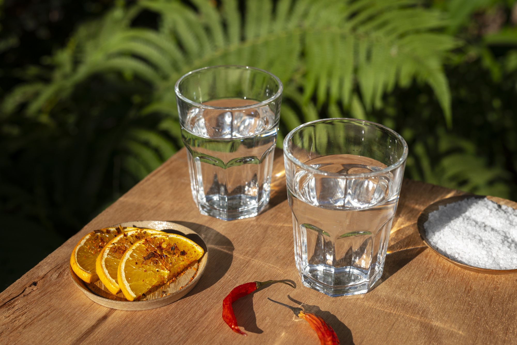 view-mexican-sotol-drink-glasses.jpg