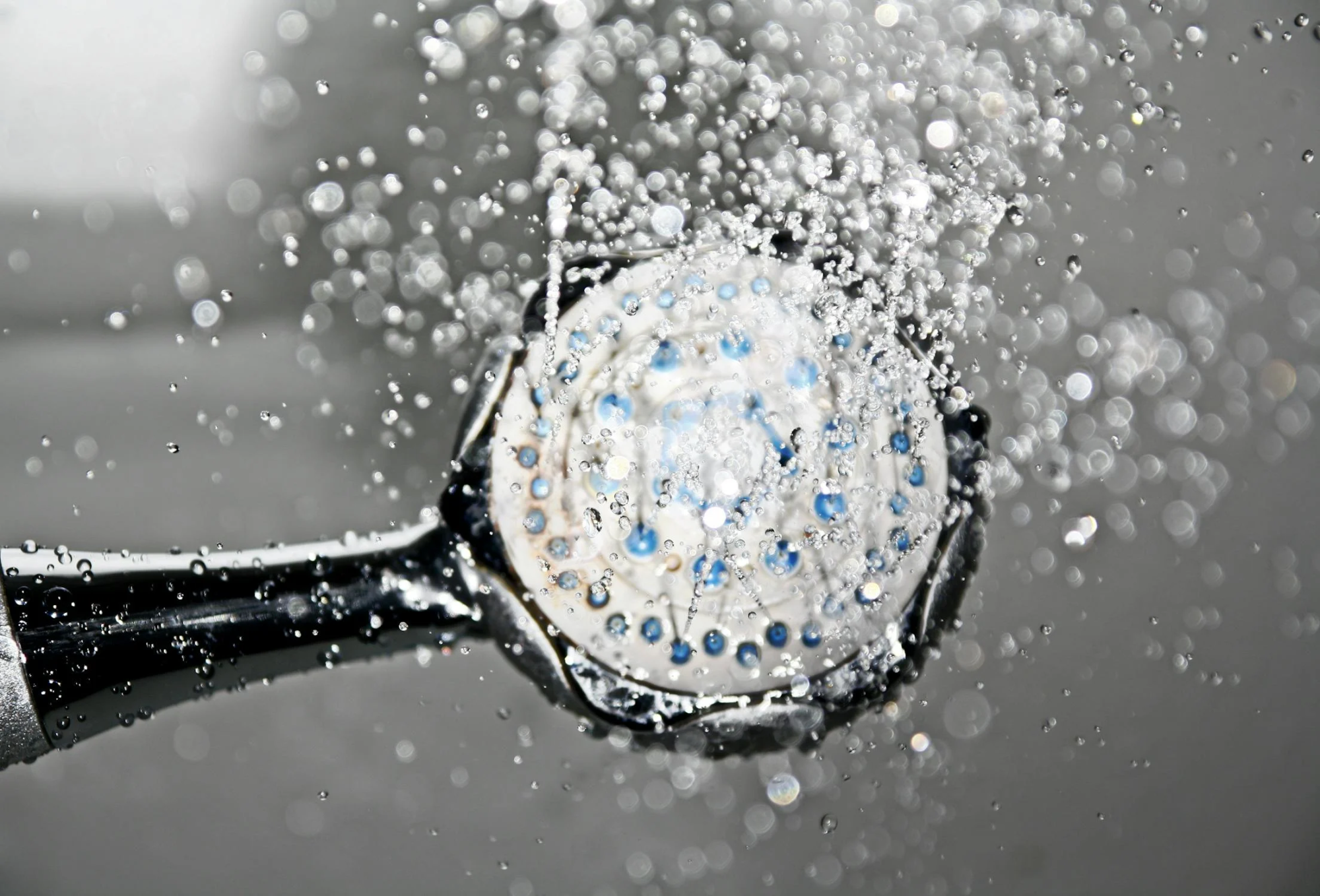 shower-shower-head-water-drop-of-water-161502.jpg