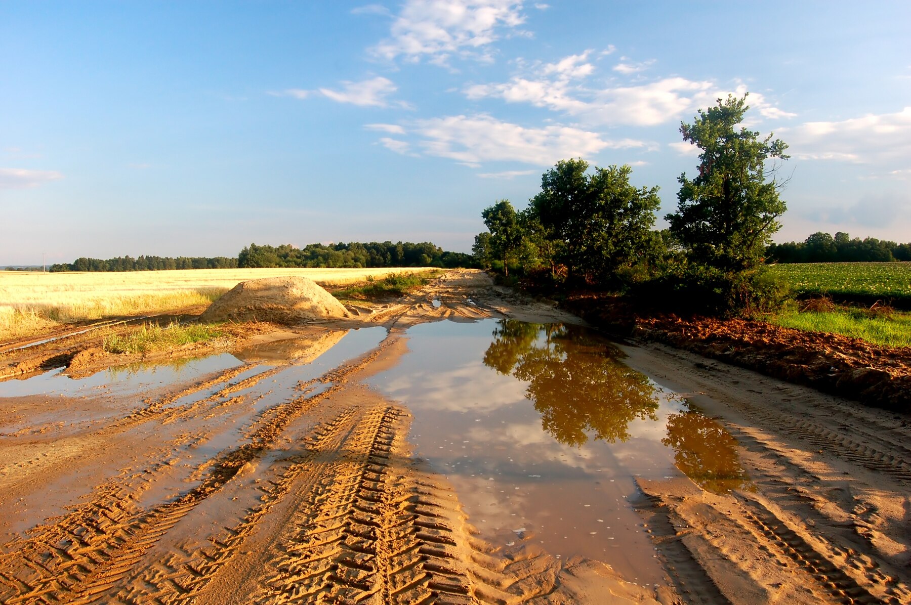 puddle-water-meadow_1160-562.jpg