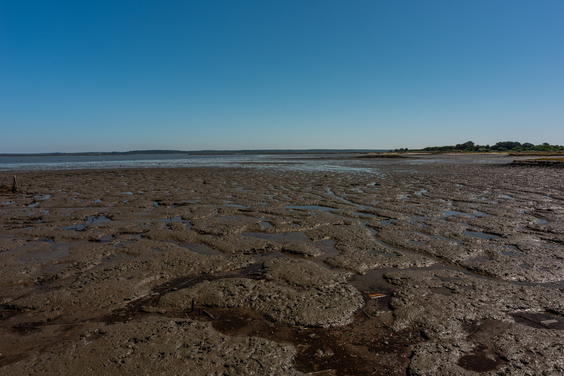 shot-dry-sandy-beach-cais-palafitico-da-carrasqueira-portugal-low-tide_181624-9693.jpg