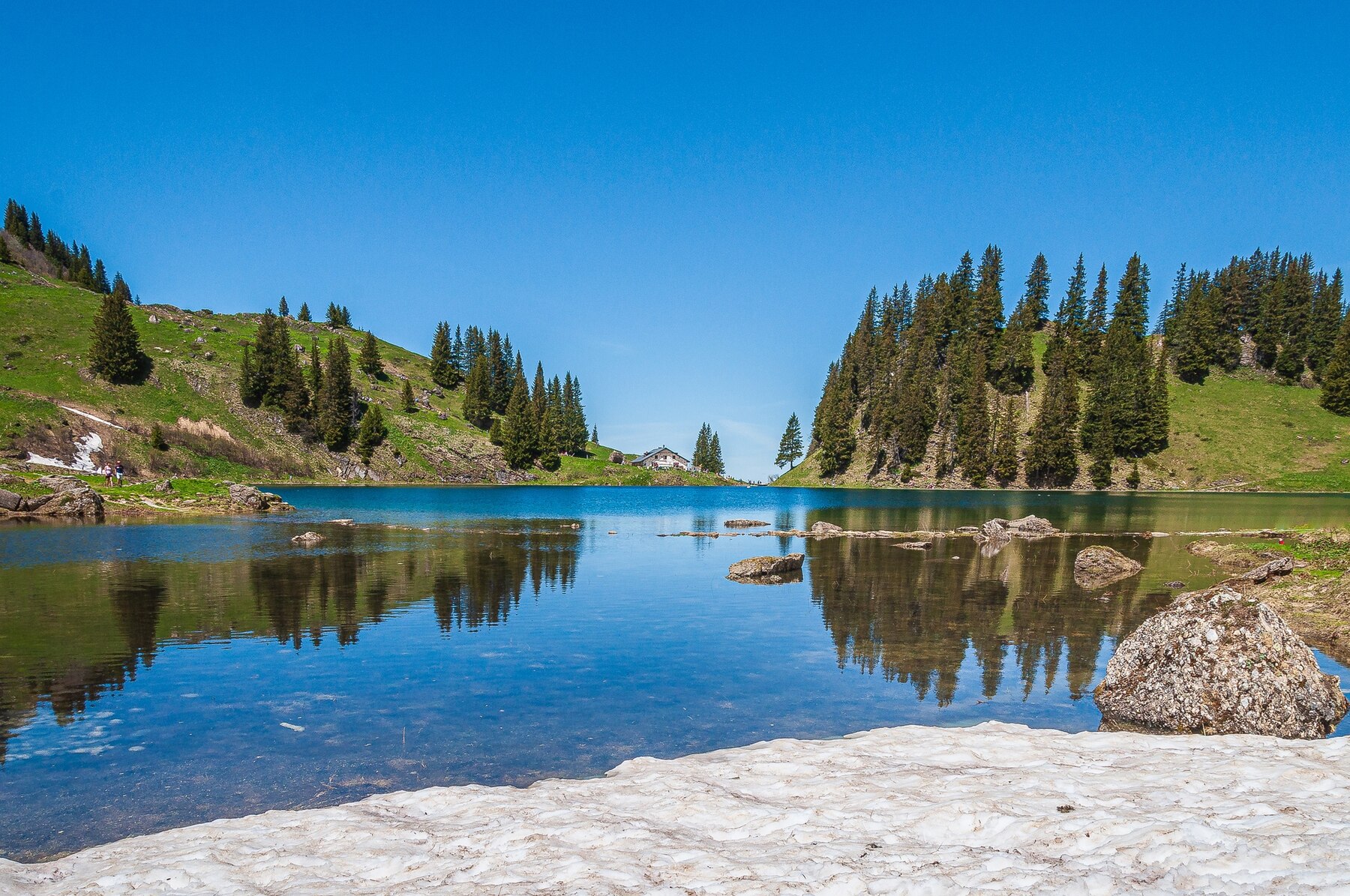 trees-mountains-surrounded-by-lake-lac-lioson-switzerland_181624-31008.jpg