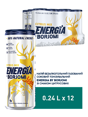 Energia by Borjomi зі смаком Цитрусових 0,24 л енергетичний сильногазований напій — фото 1