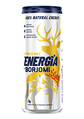 Energia by Borjomi зі смаком Цитрусових 0,24 л енергетичний сильногазований напій — фото 2