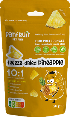 Сублимированный ананас Panfruit 20 г — фото 1