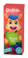 Сік Galicia Ягідний мікс з м'якоттю 0,2 л-7-mywatershop.com.ua