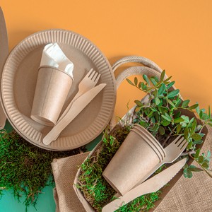 Біорозкладний посуд для офісу: чому це важливо Біорозкладний посуд для офісу: чому це важливо